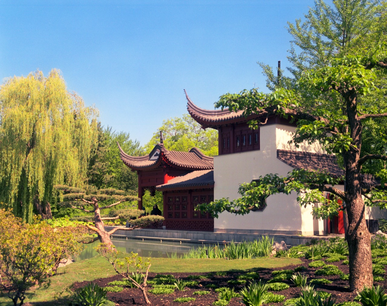Botanical Garden — pavilion and willow trees at the water's edge