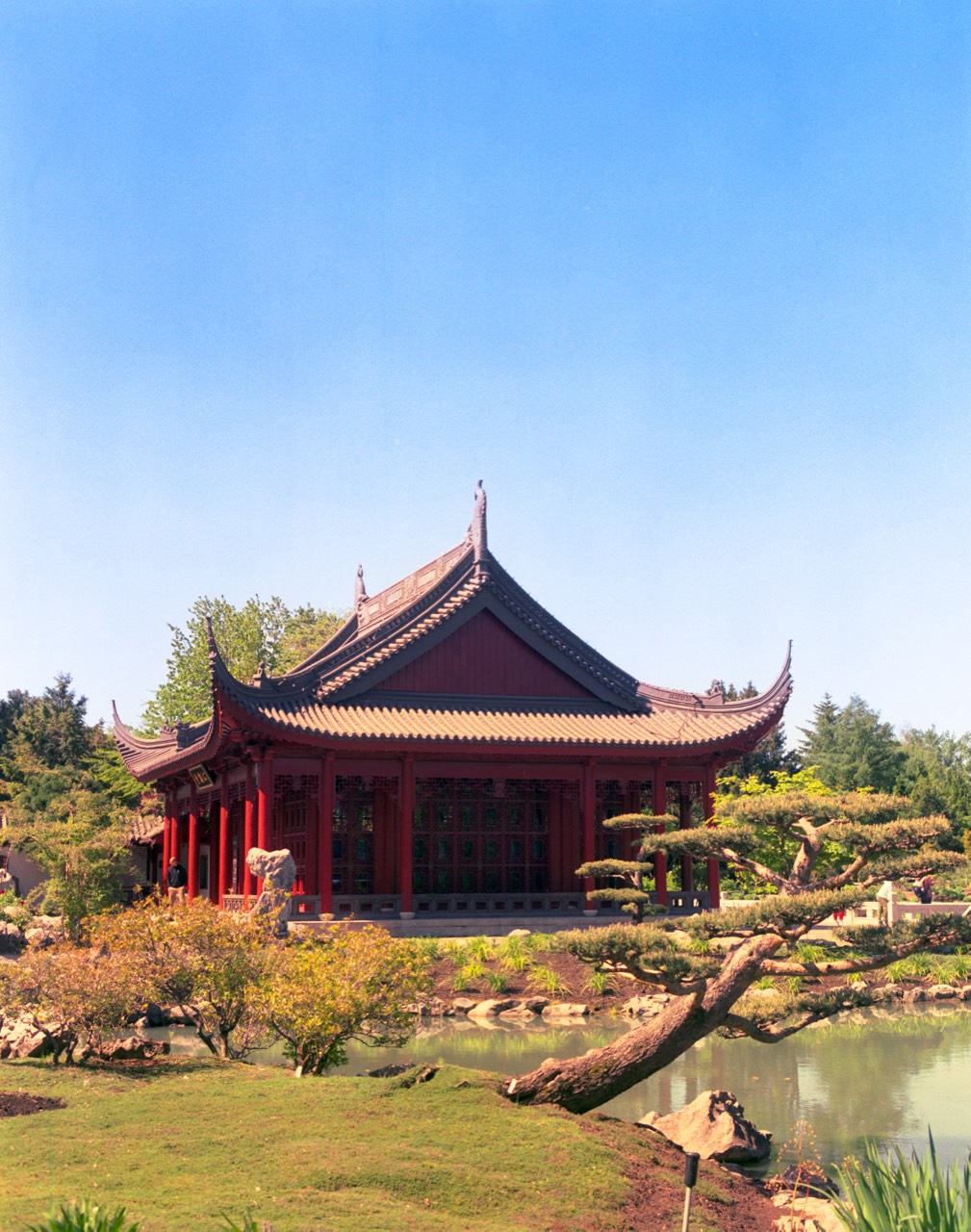 Botanical Garden — pavilion across the still pond